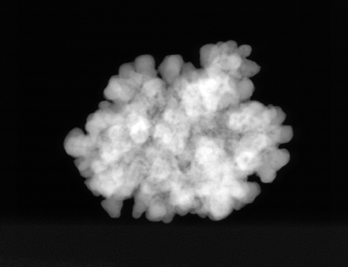 Úplně bílý kousek korálu, kterým se říká popcorn  z Kanárského ostrova Fuerteventura, z pláže Popcorn beach, celé pokryté těmito kousky.